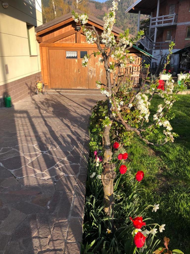 Luminoso, Giardino, Vista Dolomiti. Apartment Baselga di Pine